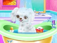 My New Poodle Friend image