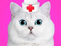 Cat Pet Doctor Dentist image