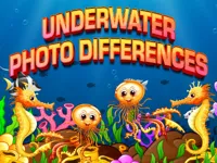Underwater Photo Differences image