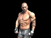 Fight Arena Online image