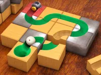 Sliding block, brain, rolling puzzle image